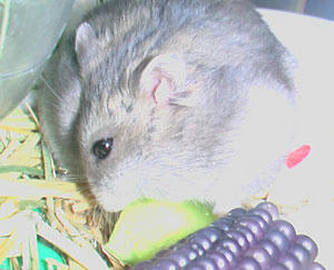 img2007070203.jpg