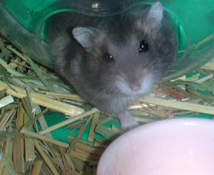 img2007070303.jpg