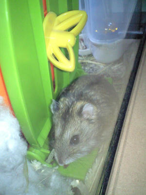 img2010040401.jpg
