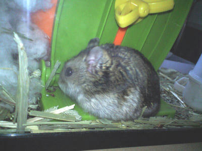img2010040402.jpg