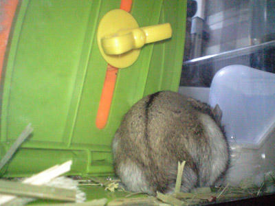img2010040404.jpg