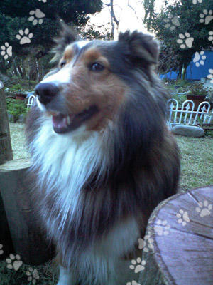 img2010040405.jpg