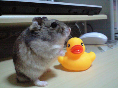 img2010033101.jpg