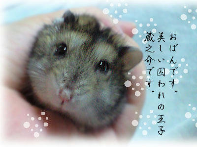 img2010032901.jpg