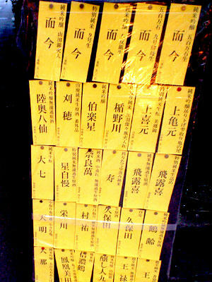 img2010032904.jpg