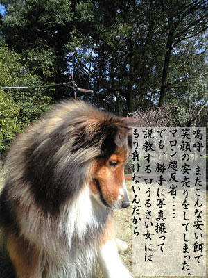 img2010032802.jpg