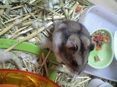 img2010032301.jpg