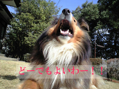 img2010032303.jpg