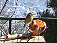 img2010032202.jpg