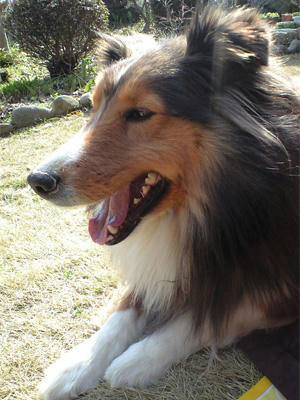 img2010032203.jpg