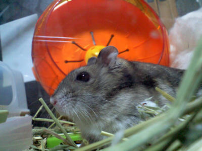 img2010032205.jpg