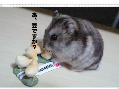 img2010032001.jpg