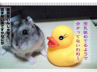 img2010032002.jpg