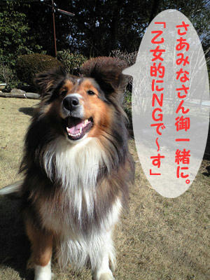 img2010042905.jpg
