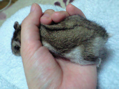 img2010043002.jpg