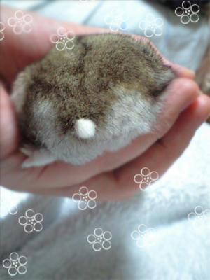 img2010043003.jpg