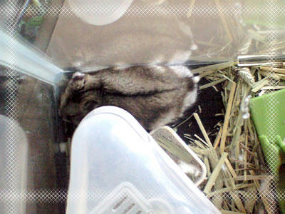 img2010050402.jpg