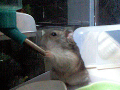 img2010031505.jpg
