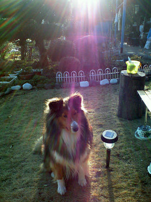 img2010031401.jpg