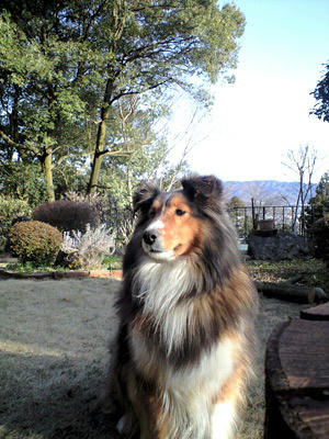 img2010031402.jpg