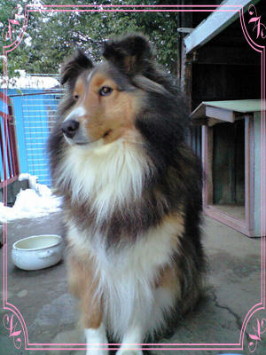 img2010031301.jpg