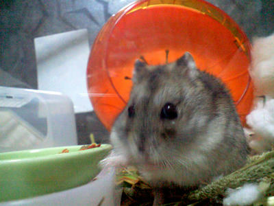img2010031303.jpg