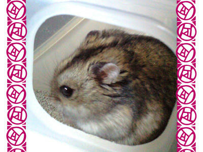 img2010030901.jpg