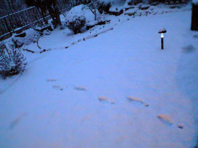 img2010030902.jpg