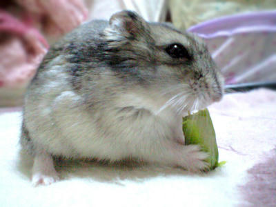 img2010030802.jpg