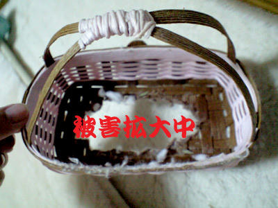 img2010030401.jpg