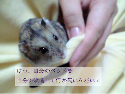 img2010030403.jpg