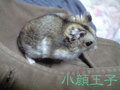 img2010030102.jpg