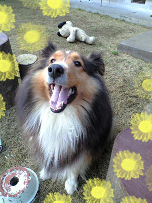 img2010030103.jpg