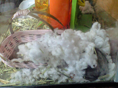 img2010050802.jpg