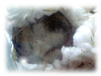 img2010050803.jpg