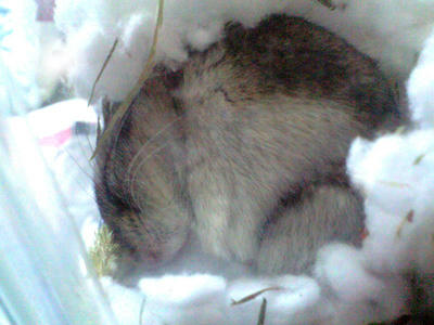 img2010050804.jpg