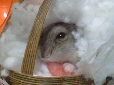 img2010051102.jpg