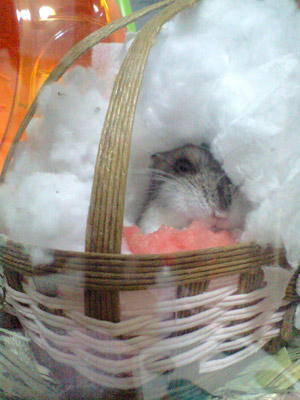 img2010051103.jpg
