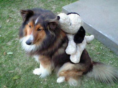 img2010051301.jpg