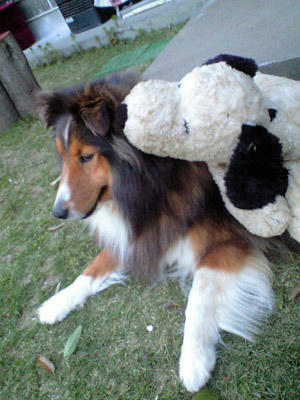 img2010051302.jpg
