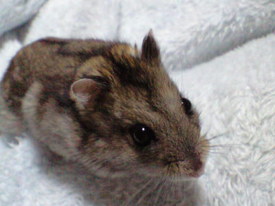 img2010051601.jpg