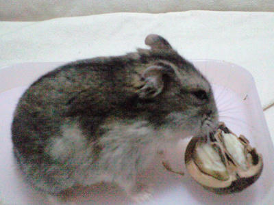 img2010051901.jpg