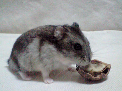 img2010051903.jpg