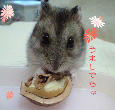 img2010052201.jpg