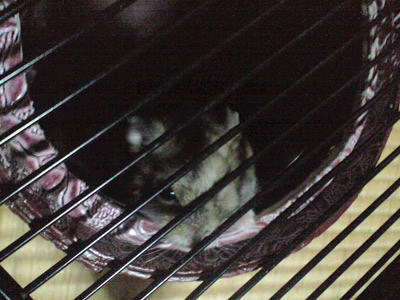 img2010062801.jpg