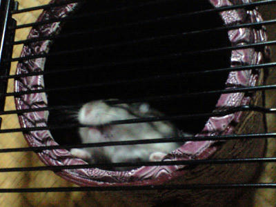 img2010062802.jpg