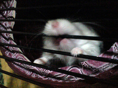 img2010062803.jpg