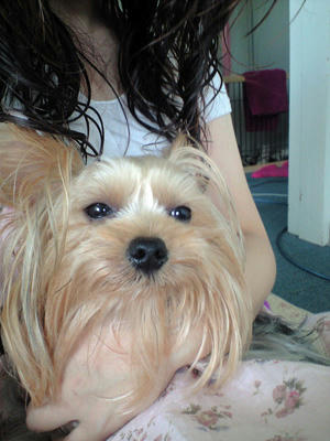 img2010070501.jpg