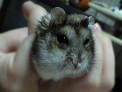 img2010062805.jpg