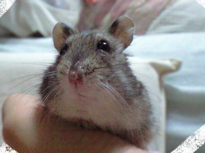 img2010070601.jpg